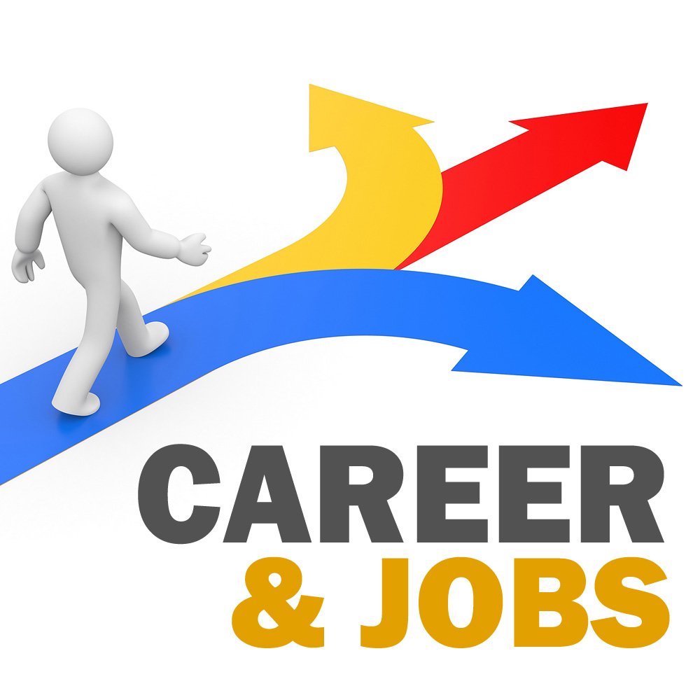 Career & Job Vacancy 