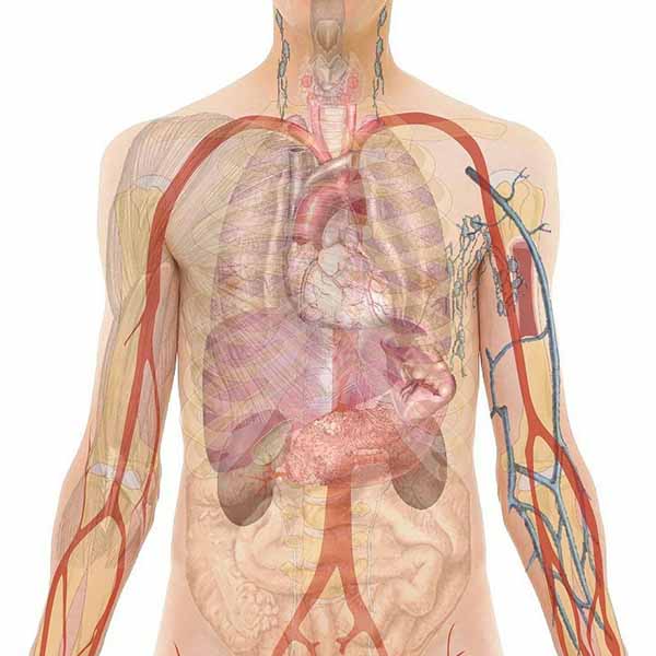 Biological Science degree programs in sri lanka