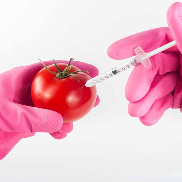 Food Science and Technology Courses & Degree Programs In Sri Lanka