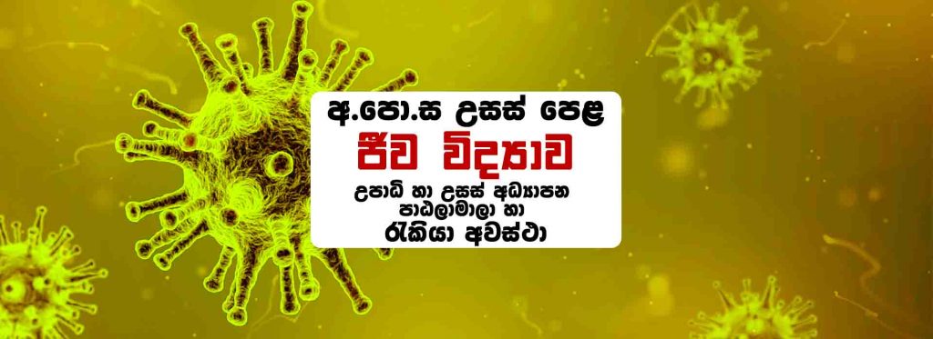 GCE A/L Biology Stream Degree Programs, Courses & Job Opportunities