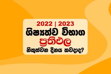 2022 Grade 5 Scholarship Results Release Date & Cut off mark 2022, 2022 shishyathwa vibhagaya