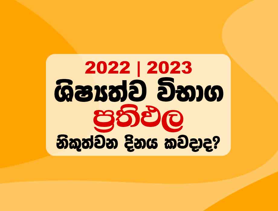 2023 & 2022 Grade 5 Scholarship Results Release Date