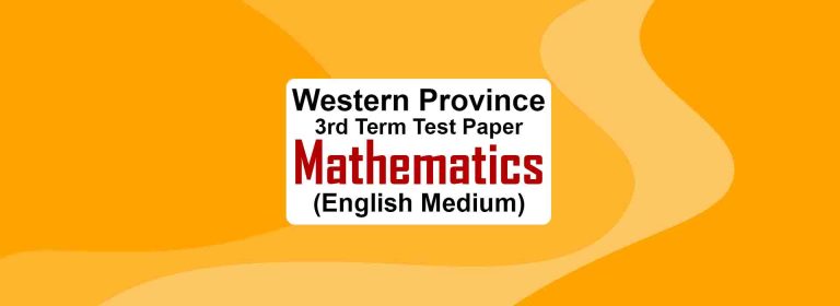 2020 Grade 11 English Medium Maths Third Term Test Paper with Answers | Western Province