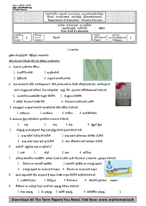 Download 2021 Grade 8 Science 3rd Term Western Province Paper Sinhala medium.