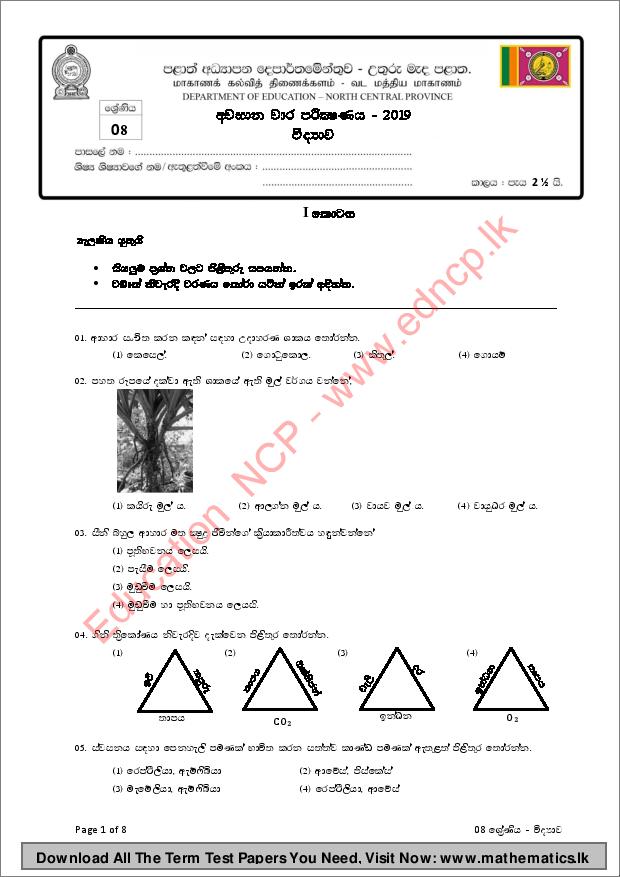 Download Grade 08 - 3rd Term Test - Sinhala medium - 2019 North Central Province Science Paper with answers