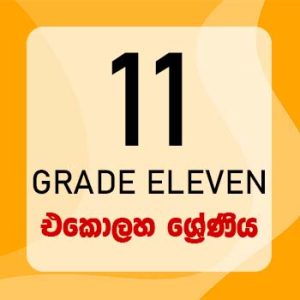 Grade eleven Download Past Papers, Model Papers, Evaluation Papers, School Term Test Papers, Provincial Papers, Zonal Papers, Tutorials, Resource Books and many more in Sinhala, Tamil and English