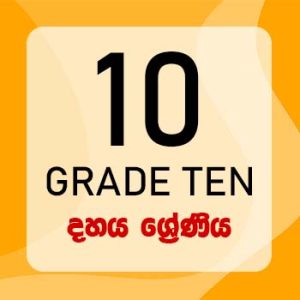 Grade ten Download Past Papers, Model Papers, Evaluation Papers, School Term Test Papers, Provincial Papers, Zonal Papers, Tutorials, Resource Books and many more in Sinhala, Tamil and English