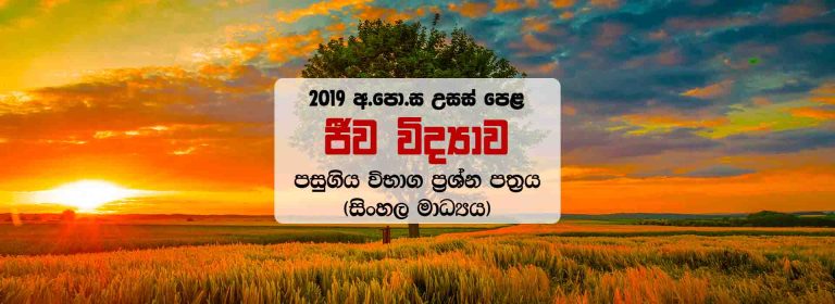 Download Sinhala Medium 2019 A/L Biology Past Paper With Marking